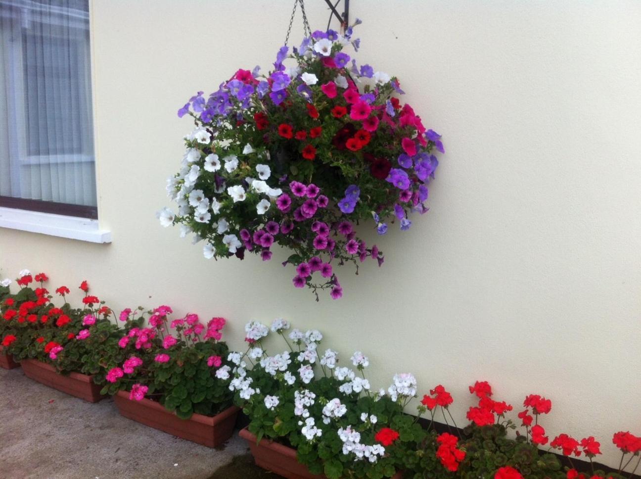 Hillview House Hotel Lusk Exterior photo